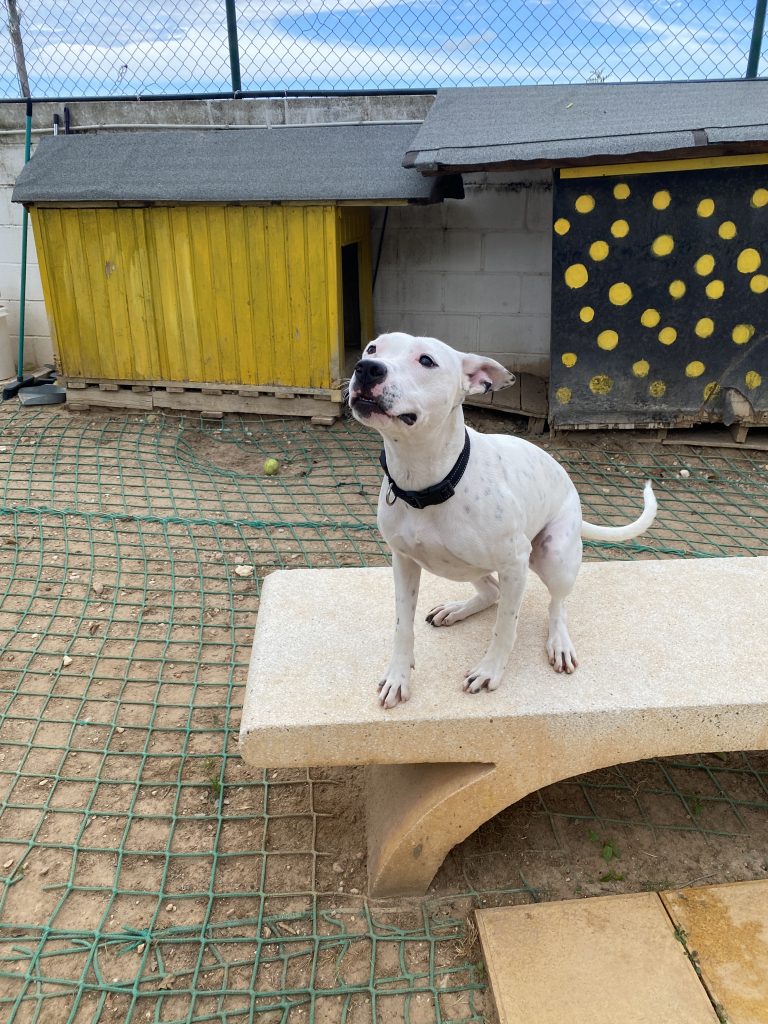 Lola