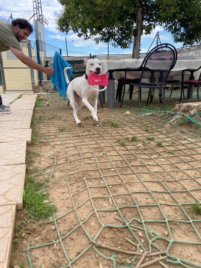 Lola