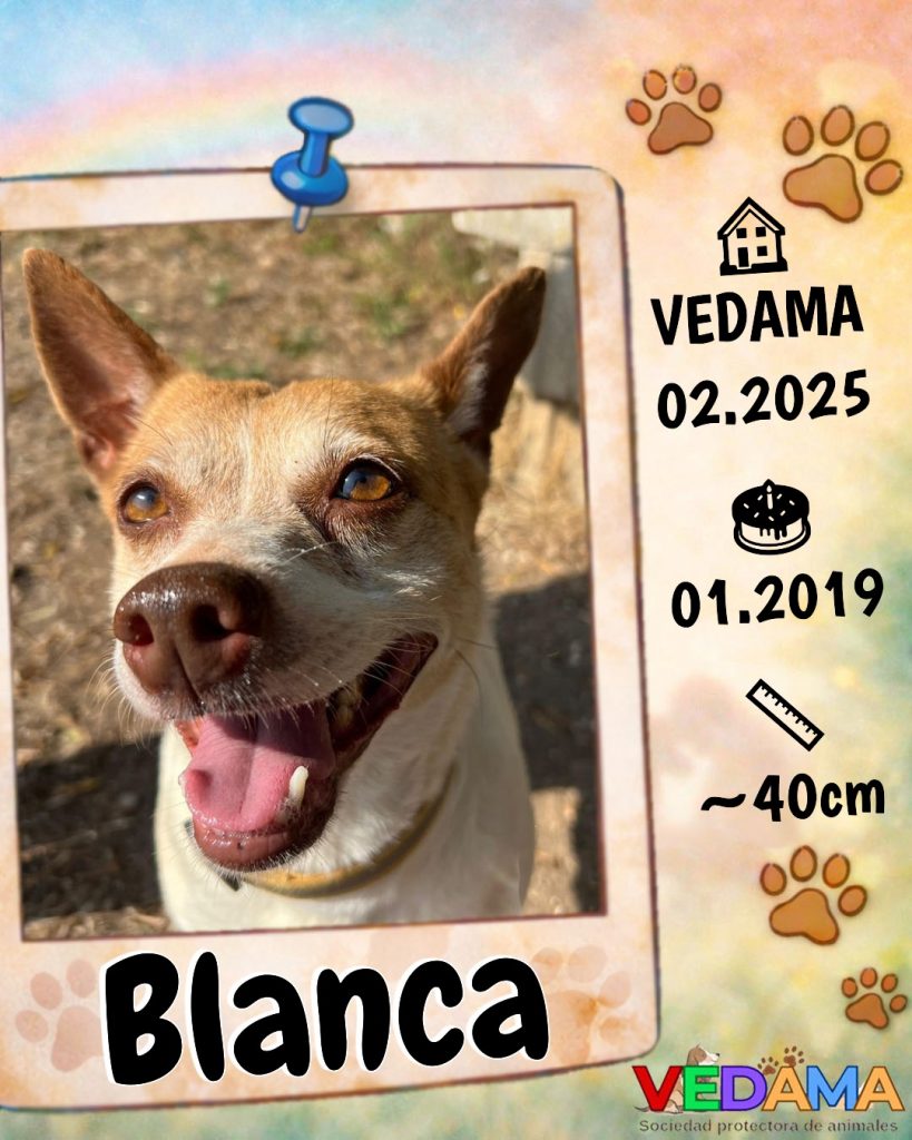 Blanca