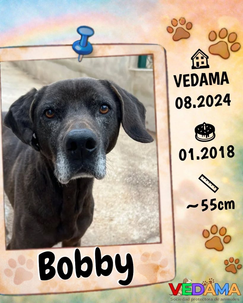 Bobby