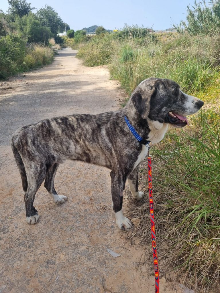 Julio