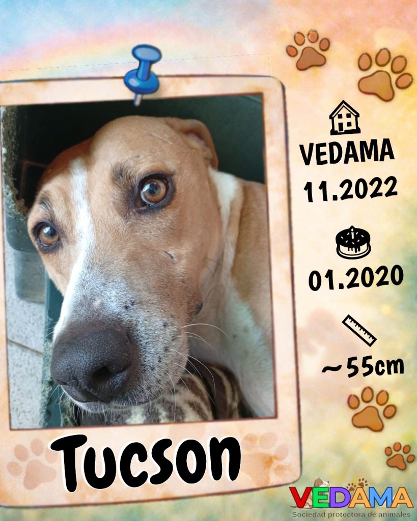 Tucson