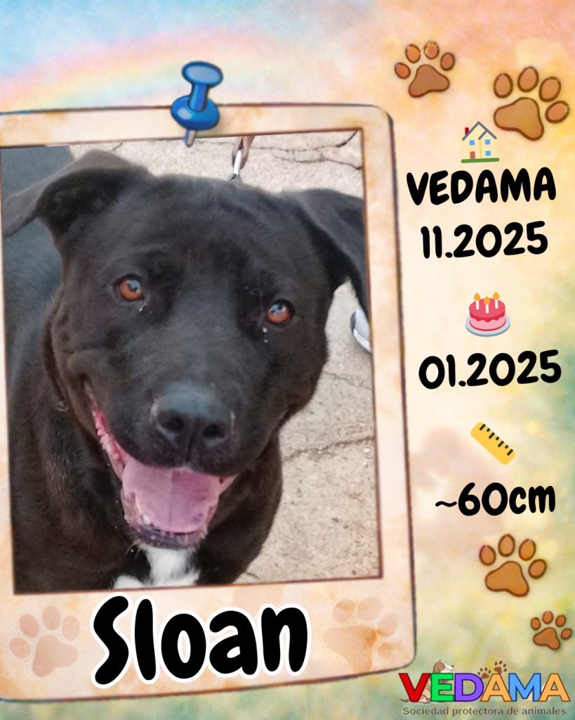 Sloan