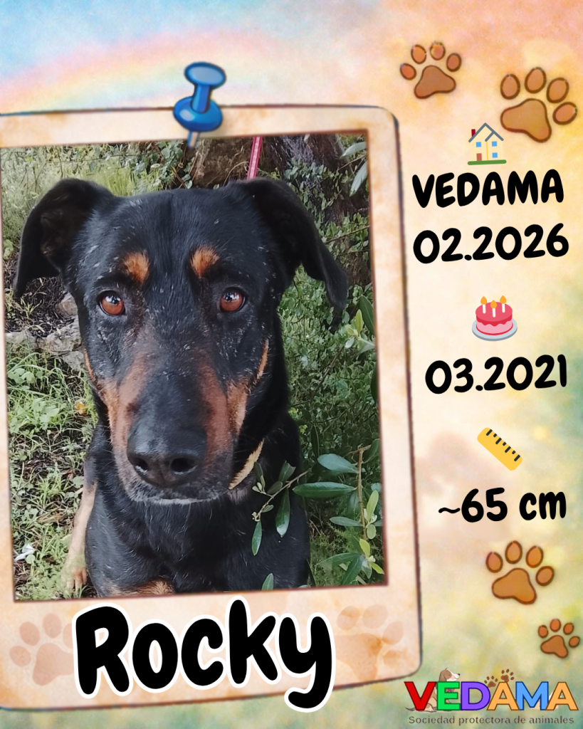 Rocky