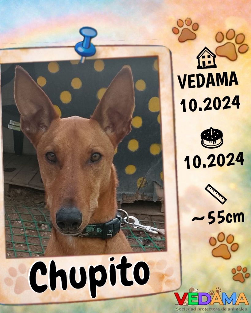 Chupito