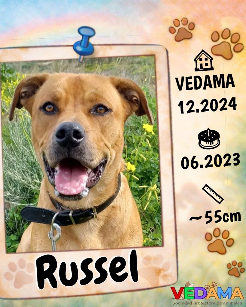 Russel