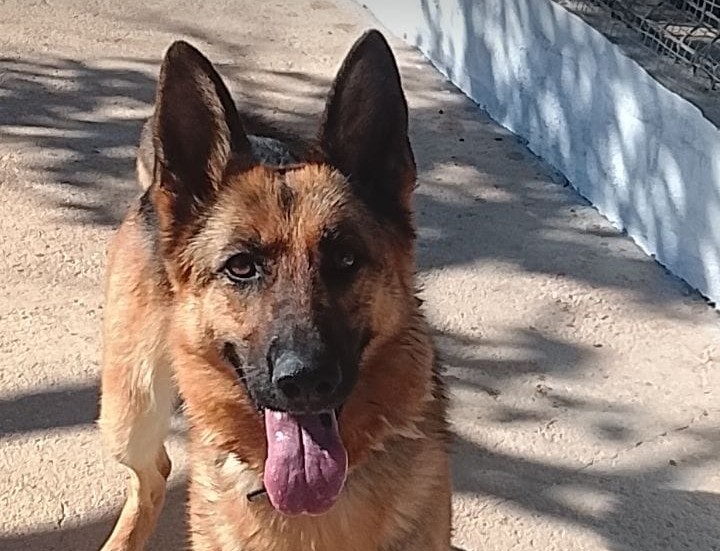 Kira