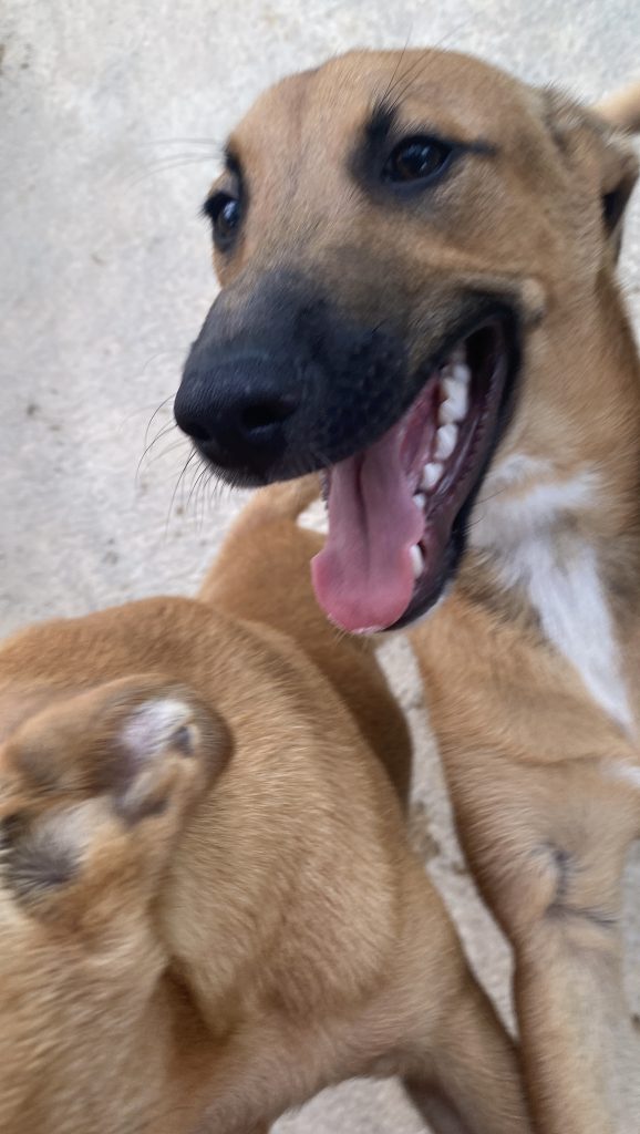 Zeus